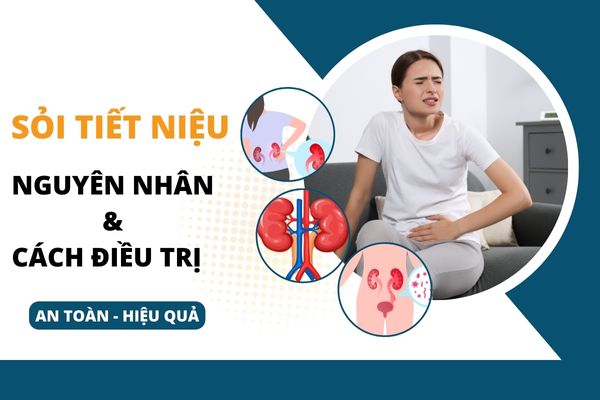 Sỏi tiết niệu: Nguyên nhân, Dấu hiệu và cách điều trị